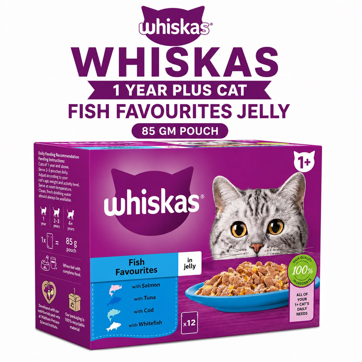 Whiskas Kitten Fish Favourites in Jelly – 12 x 85g